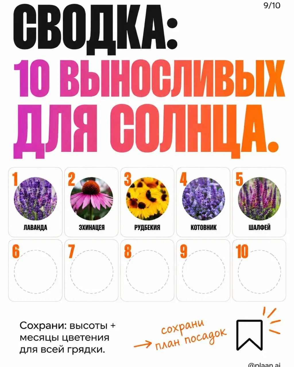 Вызов принят — и вот результат.
В комментариях спросили "а можно?", агент ответил "есть".
Я просто прописал примитивный запрос "ландшафтный дизайн". На этом моя работа над этой каруселью закончилась | Сетка — социальная сеть от hh.ru