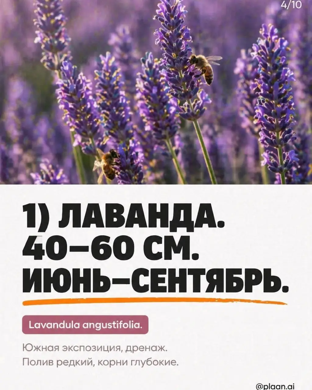 Вызов принят — и вот результат.
В комментариях спросили "а можно?", агент ответил "есть".
Я просто прописал примитивный запрос "ландшафтный дизайн". На этом моя работа над этой каруселью закончилась | Сетка — социальная сеть от hh.ru