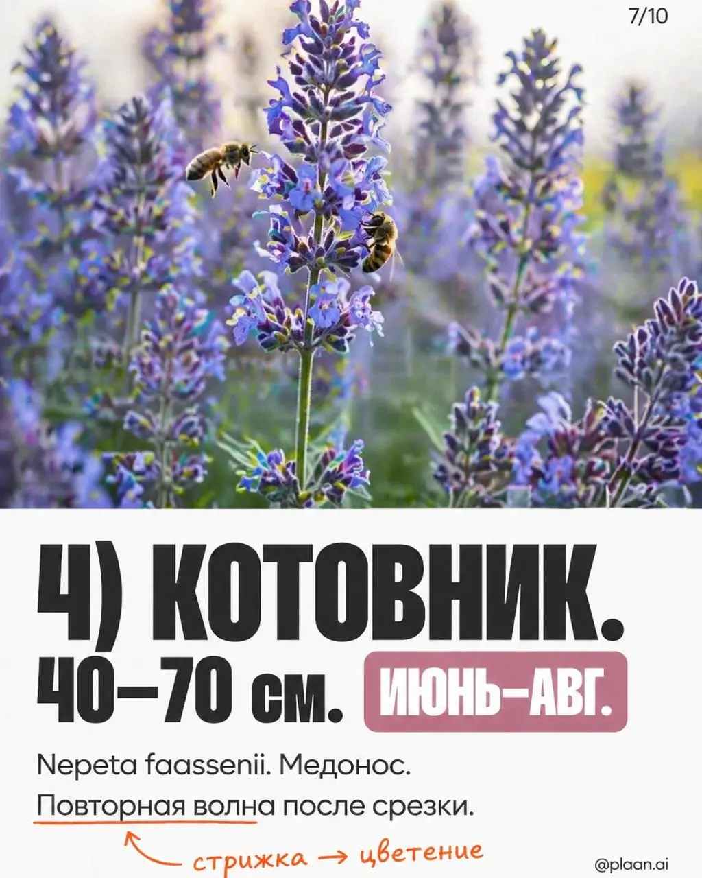 Вызов принят — и вот результат.
В комментариях спросили "а можно?", агент ответил "есть".
Я просто прописал примитивный запрос "ландшафтный дизайн". На этом моя работа над этой каруселью закончилась | Сетка — социальная сеть от hh.ru
