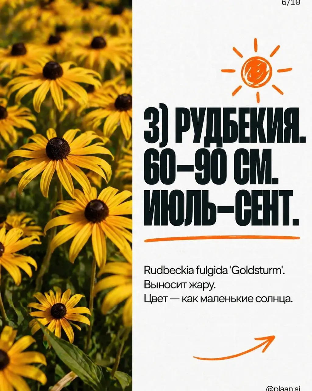 Вызов принят — и вот результат.
В комментариях спросили "а можно?", агент ответил "есть".
Я просто прописал примитивный запрос "ландшафтный дизайн". На этом моя работа над этой каруселью закончилась | Сетка — социальная сеть от hh.ru