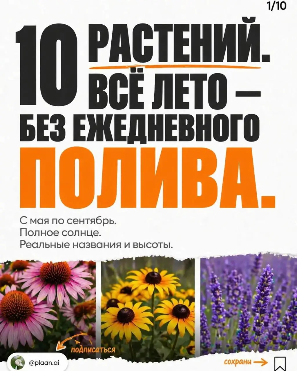 Вызов принят — и вот результат.
В комментариях спросили "а можно?", агент ответил "есть".
Я просто прописал примитивный запрос "ландшафтный дизайн". На этом моя работа над этой каруселью закончилась | Сетка — социальная сеть от hh.ru