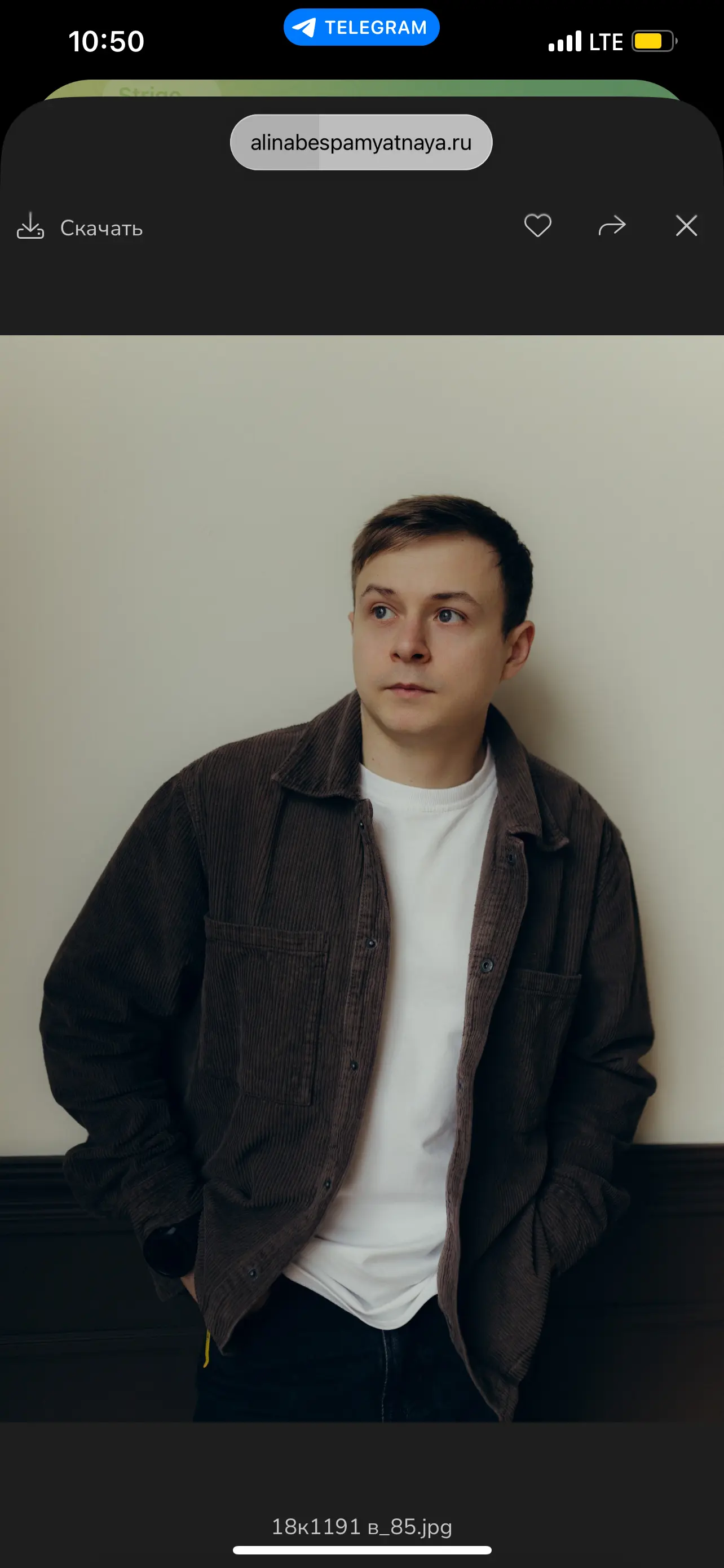 Егор Колесников