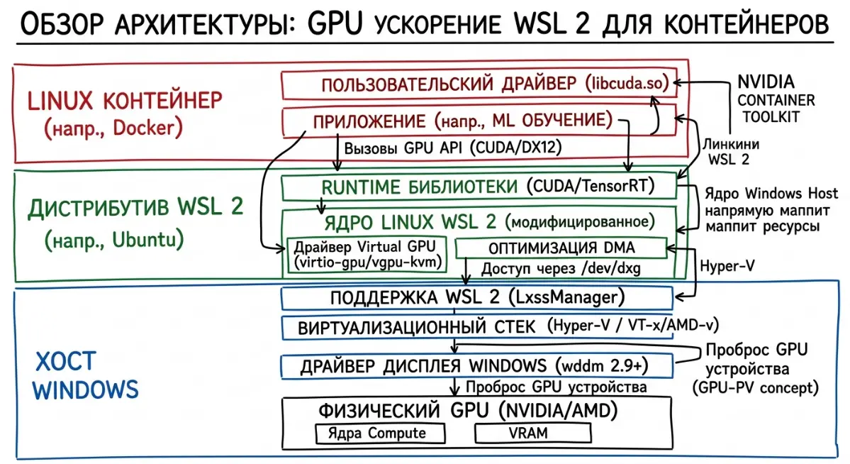 Docker на Windows GPU часть 3 | Сетка — социальная сеть от hh.ru