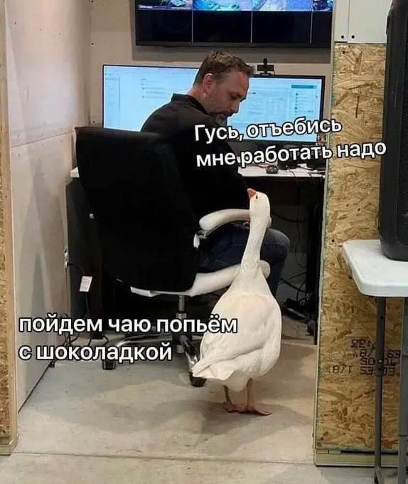 Рекомендация годного
Когда говорят «топ-менеджер», даже если он и из ИТ, обычно на ум сразу приходит напыщенный дядя в строгом костюме | Сетка — социальная сеть от hh.ru