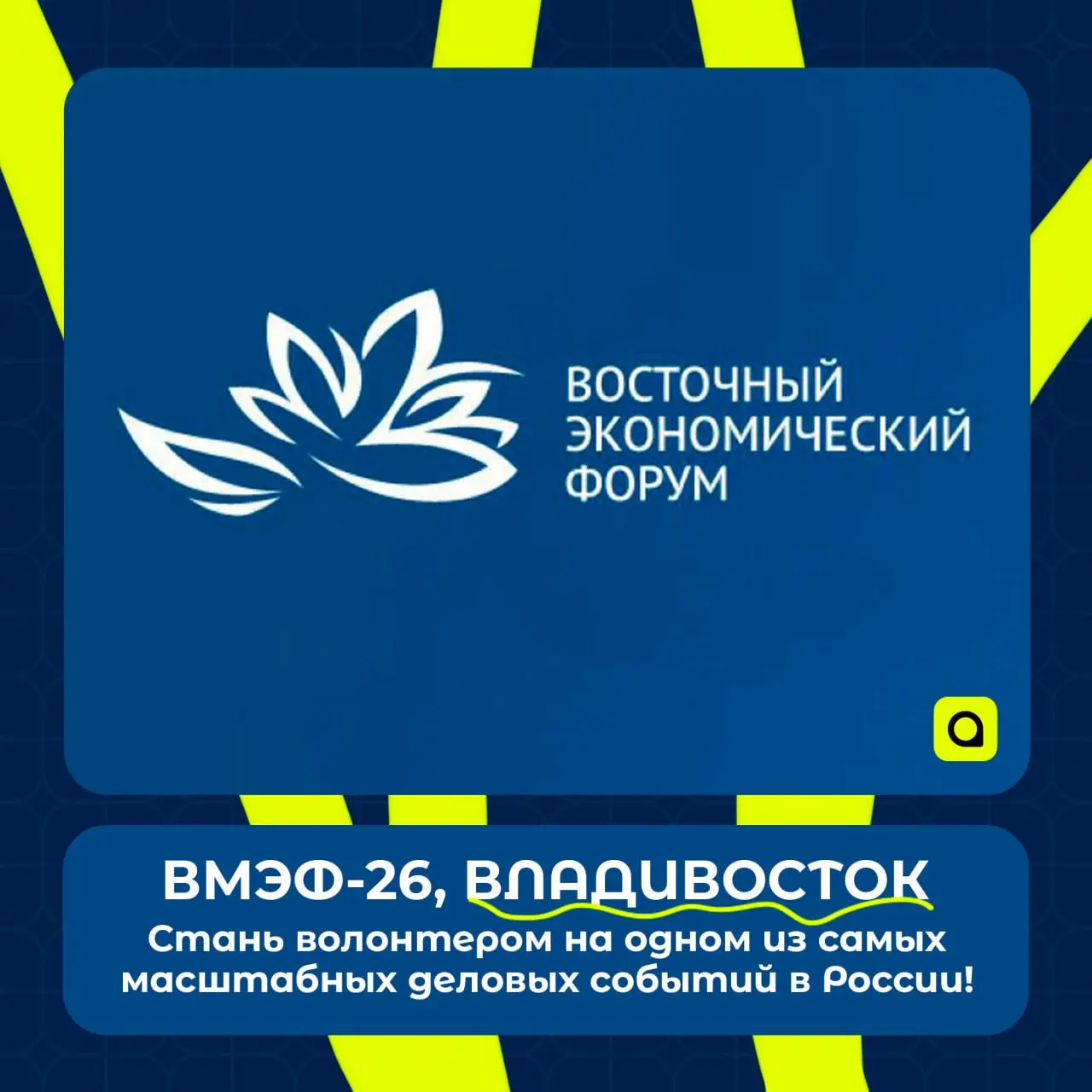 ⚡️Стань волонтером на ВЭФ-2026 во Владивостоке!
Открыт набор на XI Восточный экономический форум (ВЭФ-2026) — одно из самых масштабных деловых событий в России | Сетка — социальная сеть от hh.ru