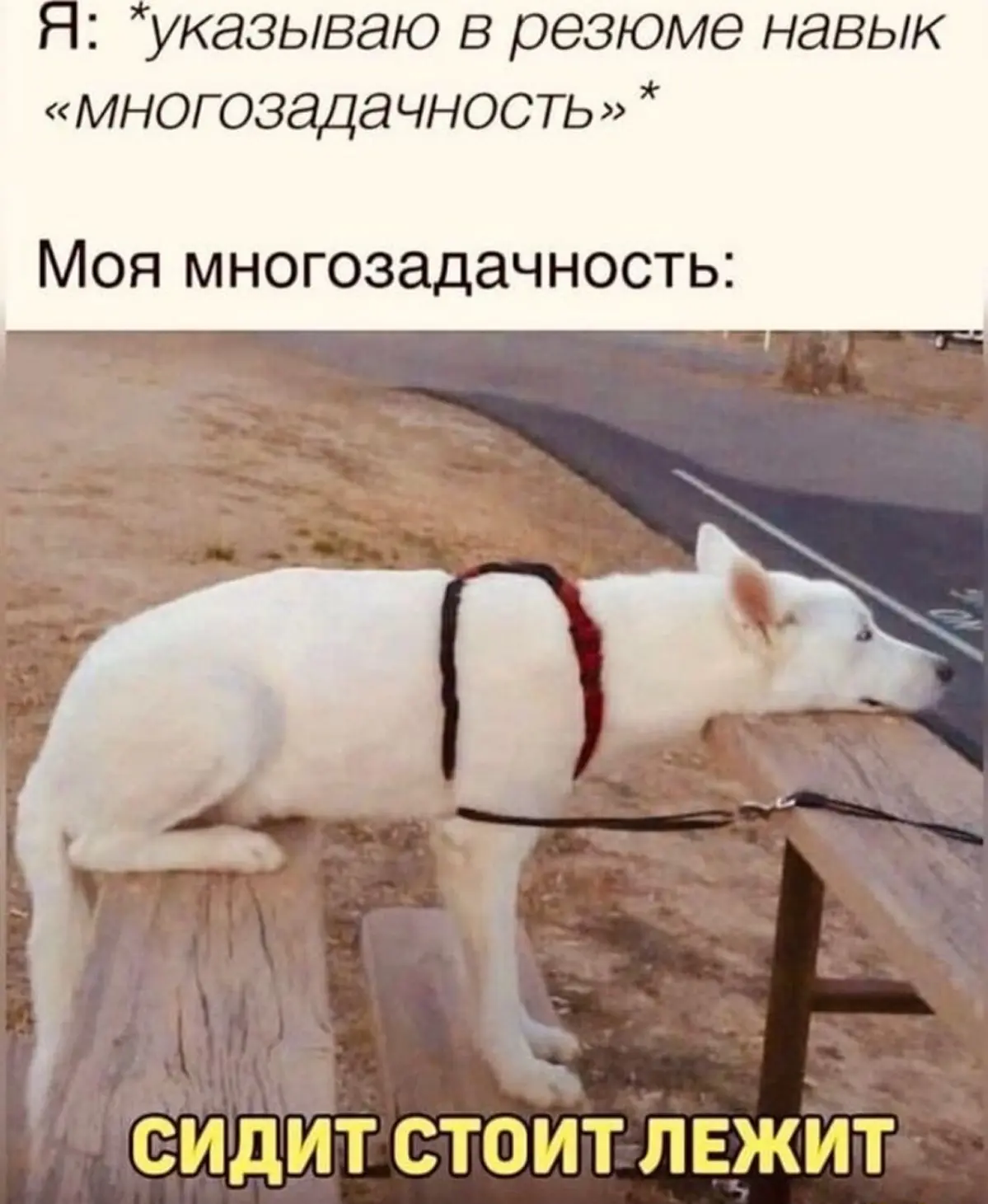 Пару месяцев ищу работу и это не первый опыт но игнор полный | Сетка — социальная сеть от hh.ru