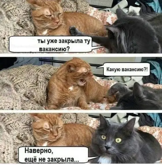 Вакансия как фильтр. Или, за что купил, за то и продал 🫡 | Сетка — социальная сеть от hh.ru