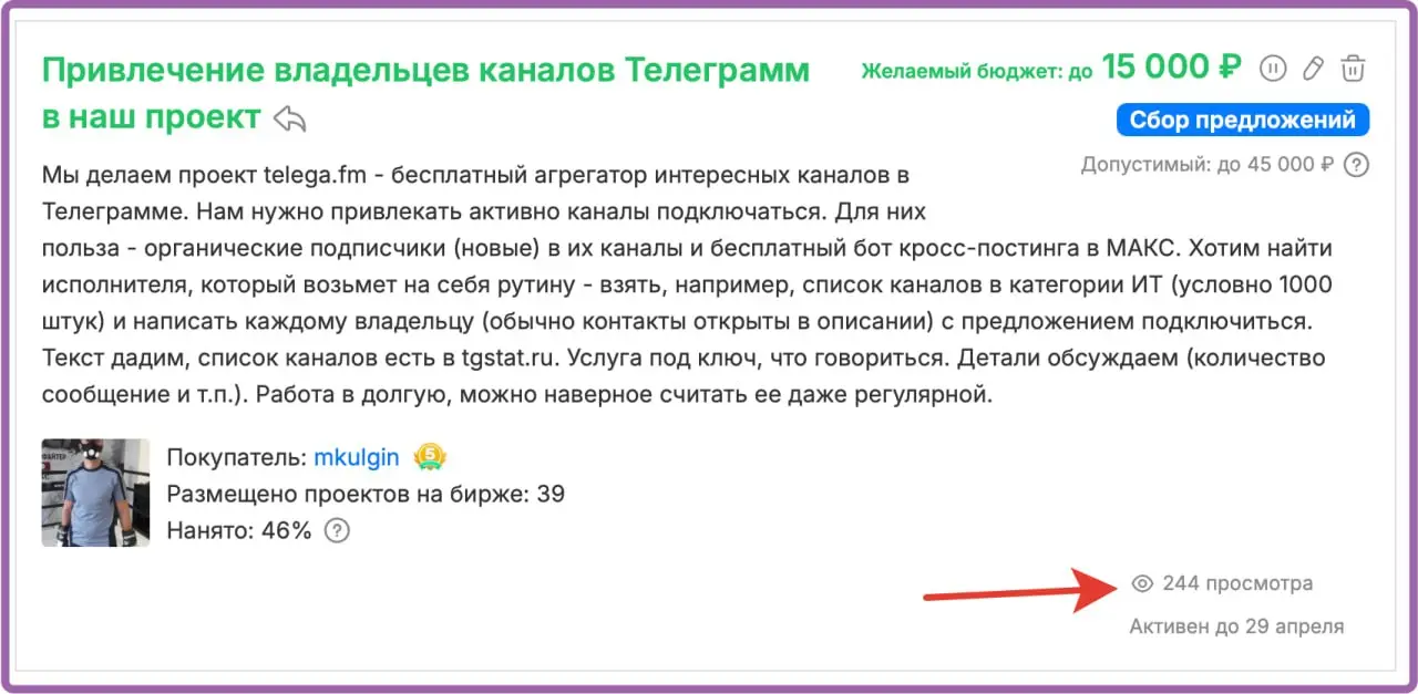 Как искать фрилансеров? Я делаю проект на кворке, а потом отбираю людей. Вот пример задания, уже под 10 откликов, а будет еще больше | Сетка — социальная сеть от hh.ru