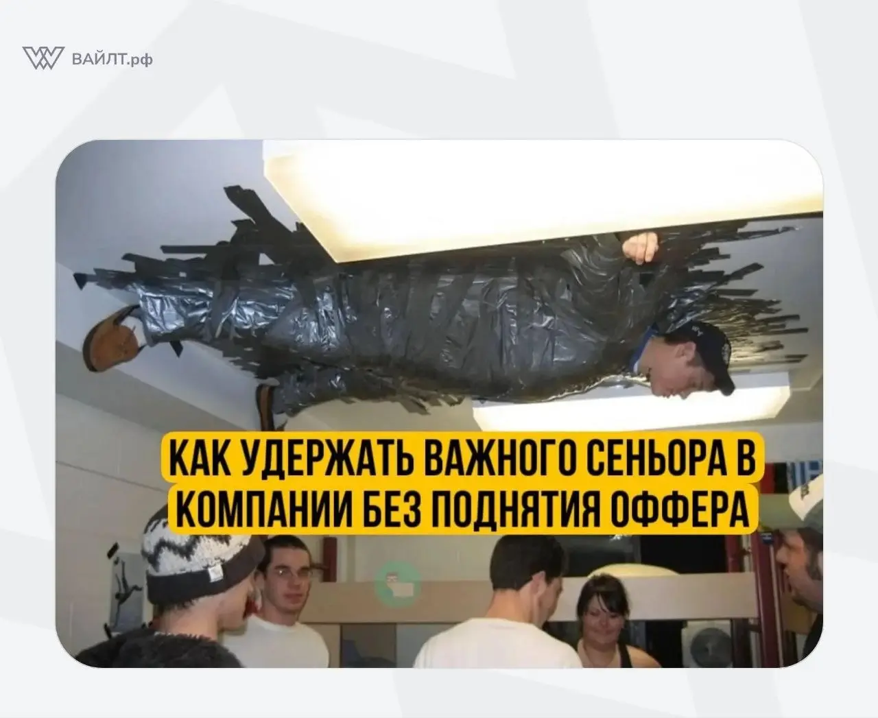 #Мем
@whiletru | Сетка — социальная сеть от hh.ru