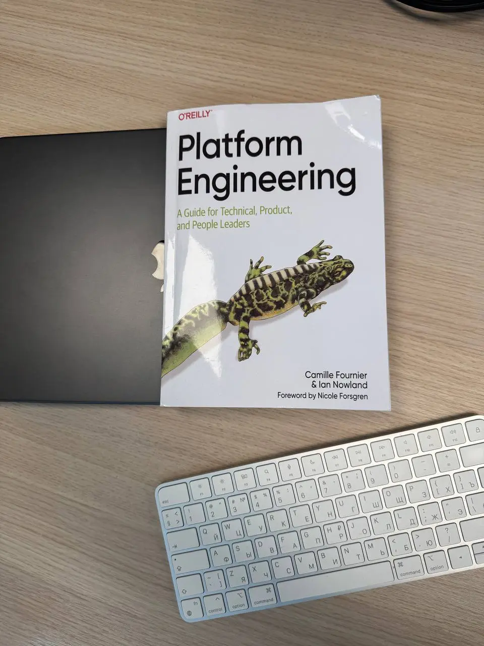 Platform Engineering: A Guide for Technical, Product, and People Leaders
Я затянул с обзором этой книжки, а так-то:
1. Это первая книга о продуктовом менеджменте для инженерных команд.
2 | Сетка — социальная сеть от hh.ru