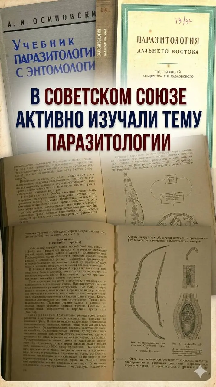 Советская классика или зачем чистить организм 2 раза в год? | Сетка — социальная сеть от hh.ru