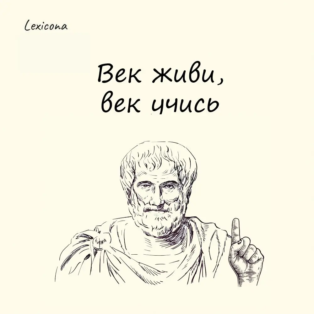 Век живи — век учись
Полная версия пословицы звучит так: «век живи — век учись тому, как следует жить». Авторство принадлежит римскому философу Сенеке, который родился ещё в 4 году до н. э | Сетка — социальная сеть от hh.ru