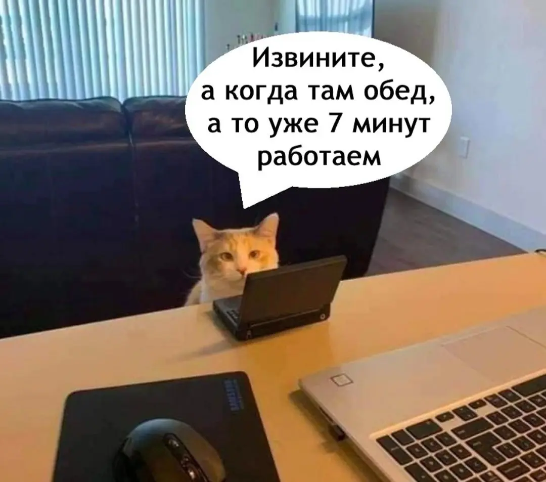 Как вы обедаете  на работе ? | Сетка — социальная сеть от hh.ru