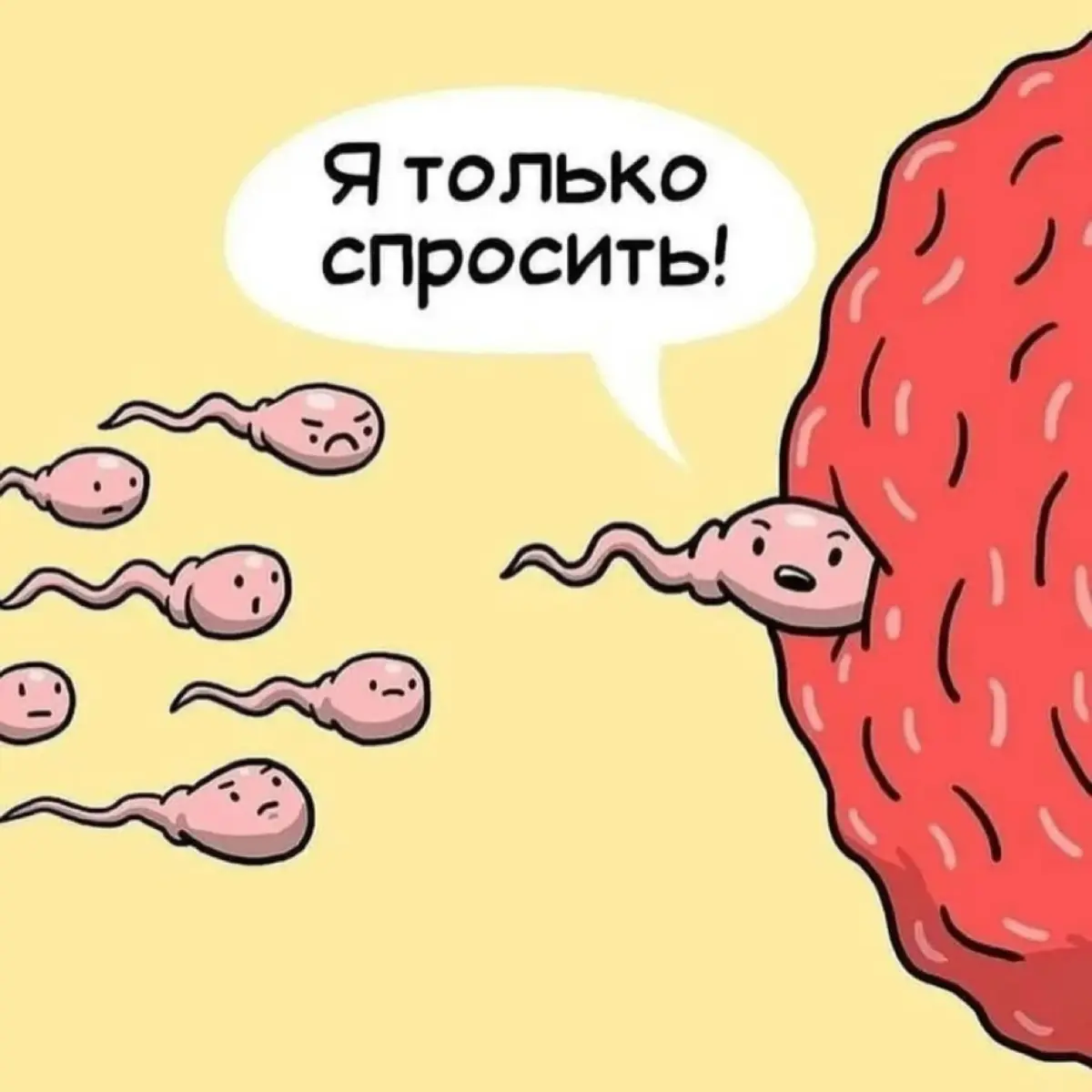 ⏰💭 | Сетка — социальная сеть от hh.ru
