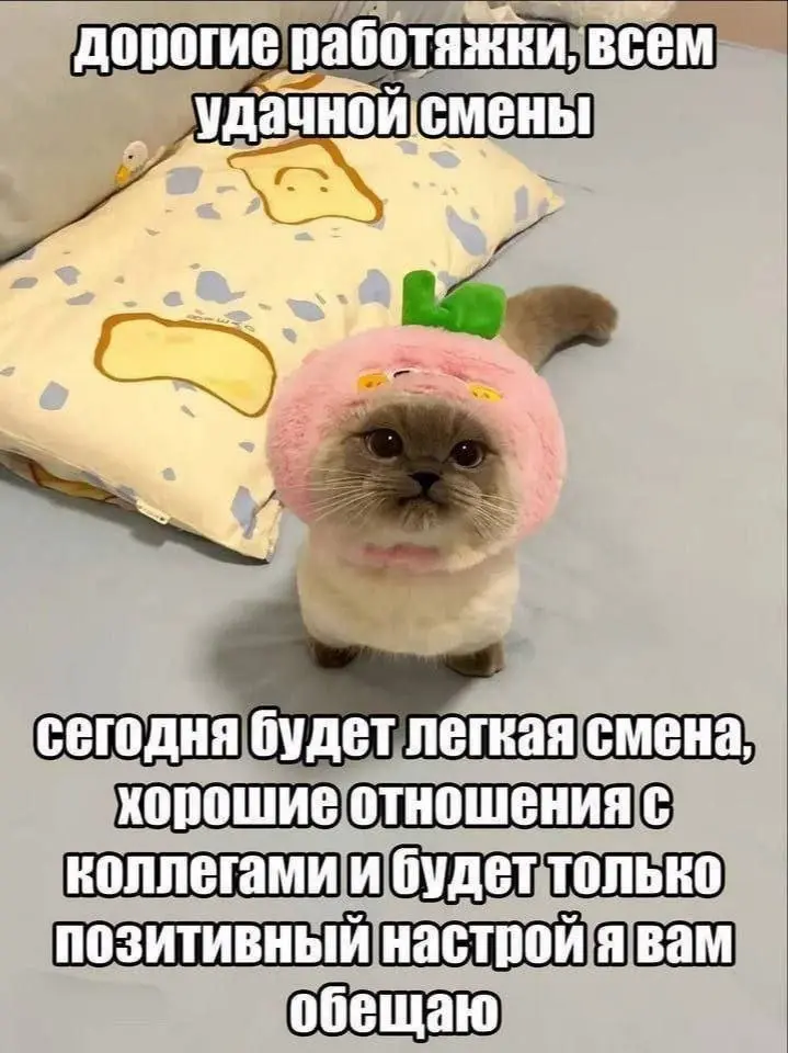 Всем удачного рабочего дня перед выходными! | Сетка — социальная сеть от hh.ru