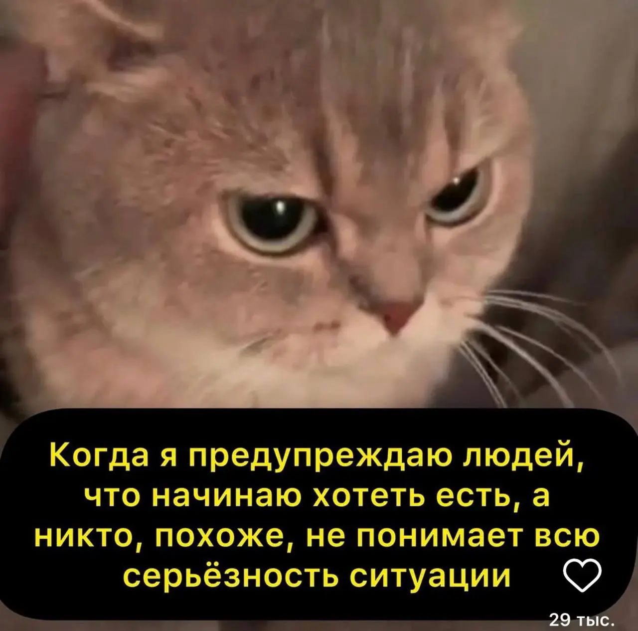 #пятничное
Что может быть лучше четверговой пятницы?
Всем отличного дня! | Сетка — социальная сеть от hh.ru