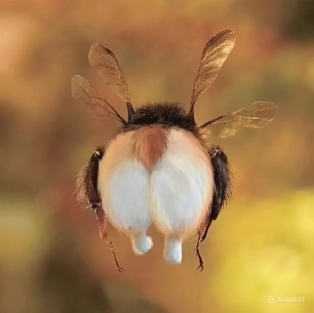 🐝 Миф про шмеля, NASA и “невозможность”
Есть легенда, что у NASA чуть ли не висел плакат:
«По всем законам аэродинамики шмель летать не может… но он летает, потому что не знает об этом» | Сетка — социальная сеть от hh.ru