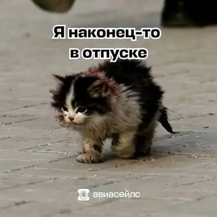 Для тех, кто устроил себе нормальные майские, мы принесли отпускные аватарки
Остальным соболезнуем, всего два дополнительных выходных | Сетка — социальная сеть от hh.ru
