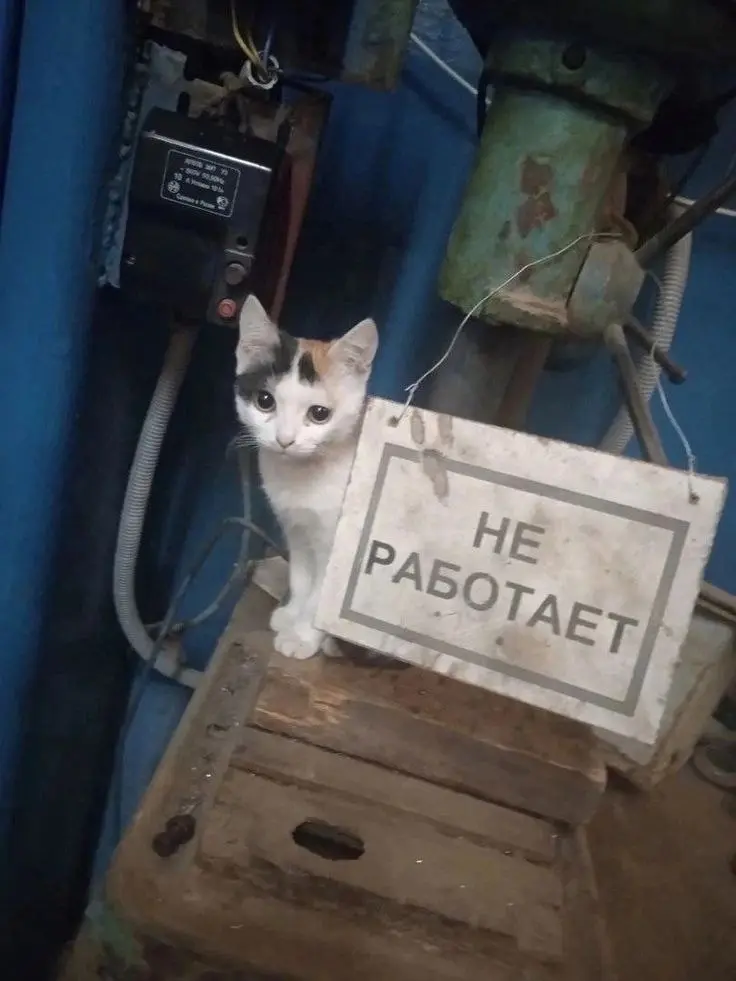 Для тех, кто устроил себе нормальные майские, мы принесли отпускные аватарки
Остальным соболезнуем, всего два дополнительных выходных | Сетка — социальная сеть от hh.ru