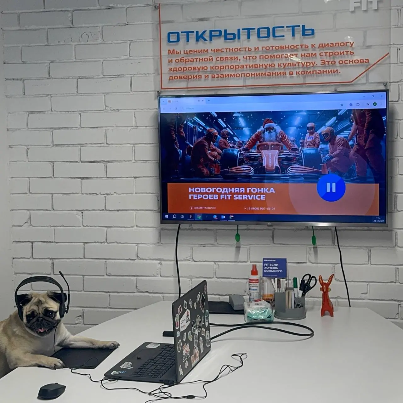 В FIT SERVICE: работаем нос к носу 🐾
Мы переработали одну добрую шалость и коллеги теперь на работу могут приходить с хвостами и лапками! 🐶
Вот наши недавние гости:

Лилу (она же Лилуша для своих), Дж... | Сетка — социальная сеть от hh.ru