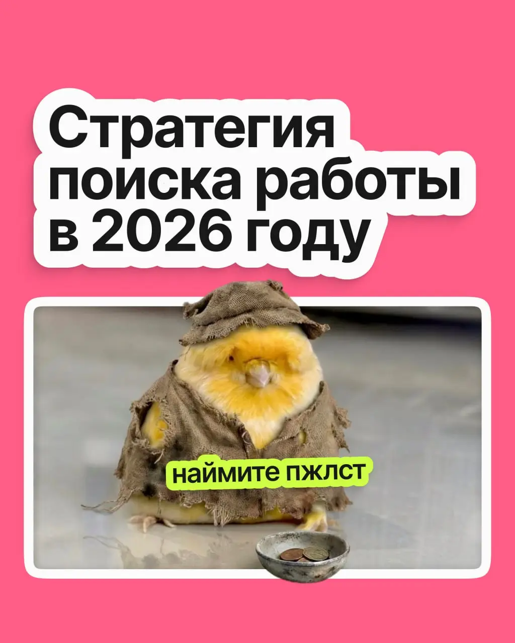 Стратегия поиска работы в 2026 году | Сетка — социальная сеть от hh.ru