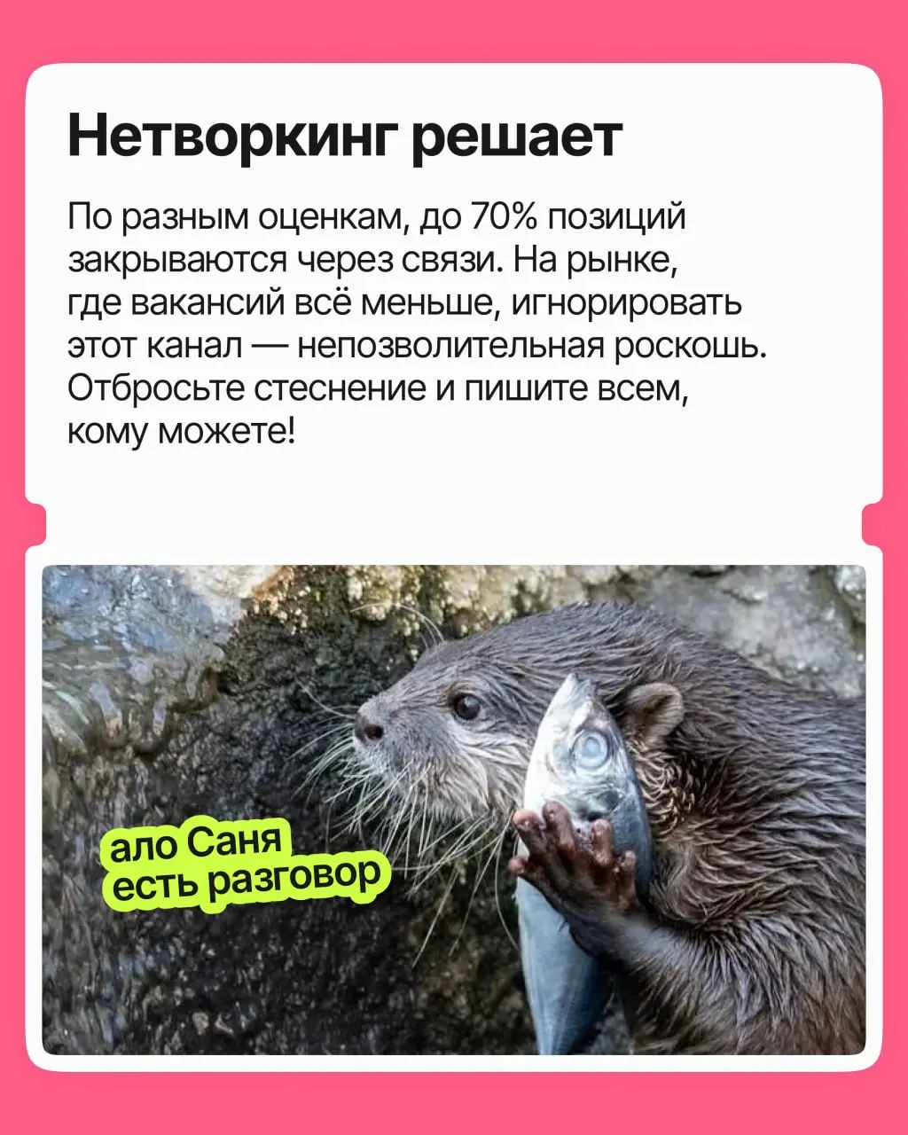 Стратегия поиска работы в 2026 году | Сетка — социальная сеть от hh.ru