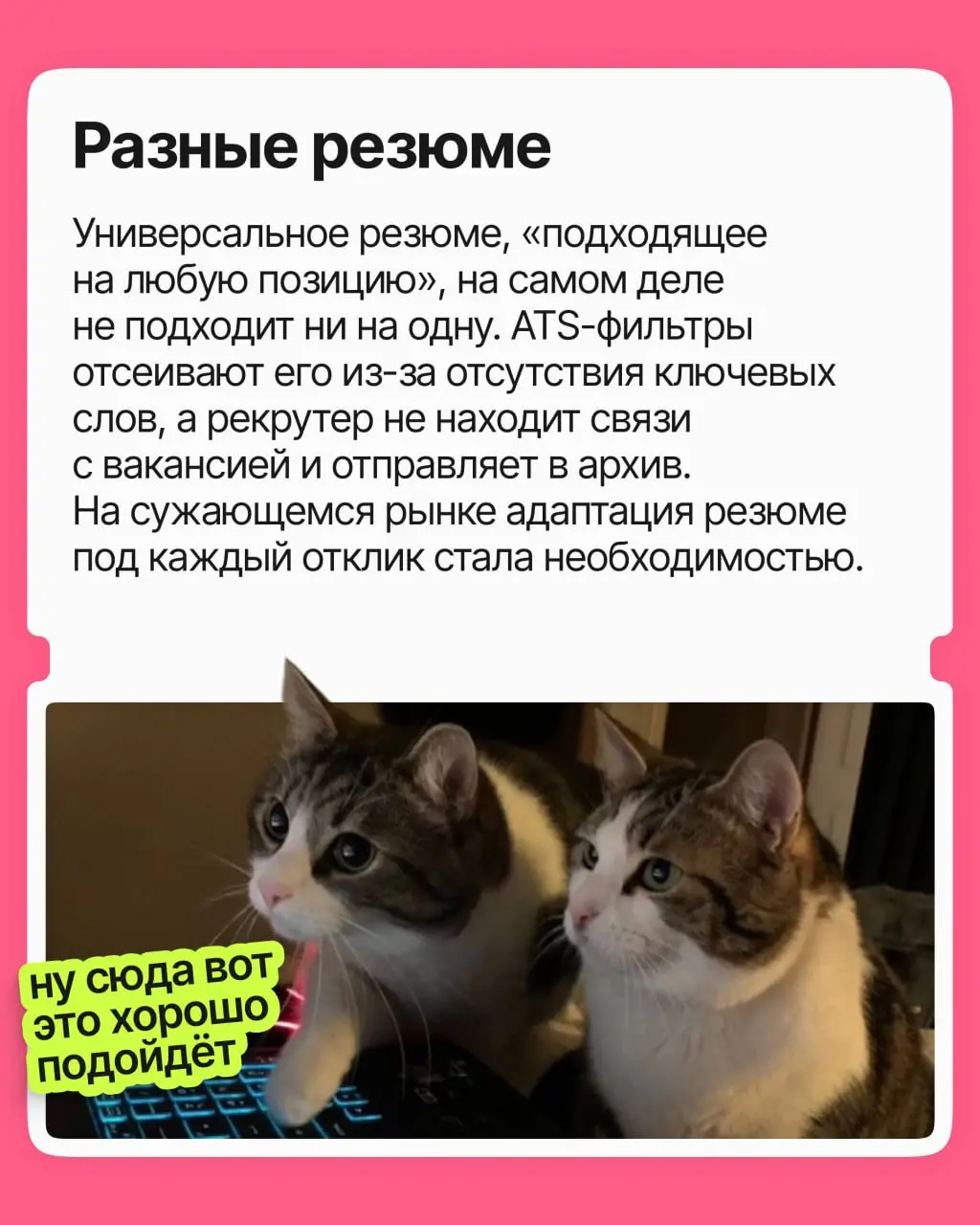 Стратегия поиска работы в 2026 году | Сетка — социальная сеть от hh.ru