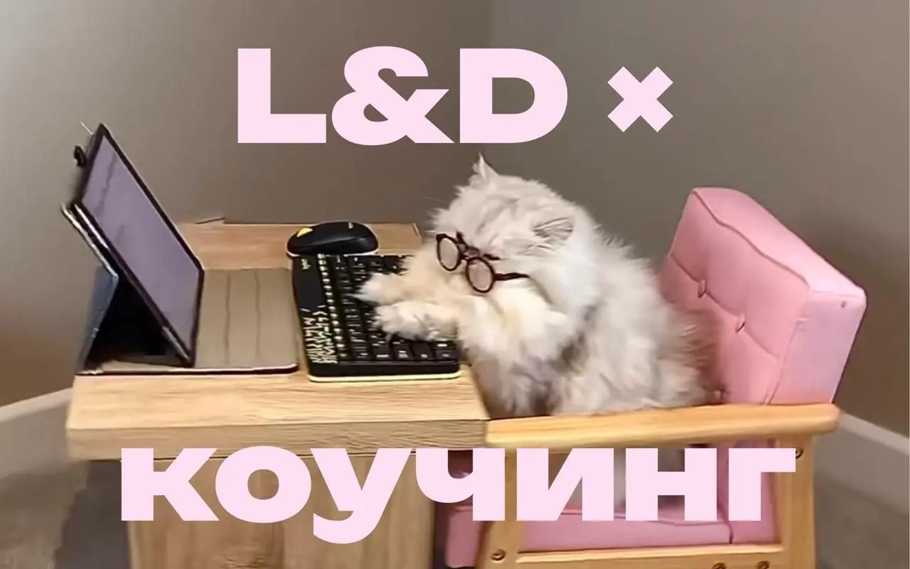 Подборка каналов для тех, кто работает в HR, L&D, EdTech и развивает команды 😍
💡 Мы собрали ресурсы для тех, кто видит в обучении не просто регламенты, а способ раскрыть потенциал каждого человека | Сетка — социальная сеть от hh.ru