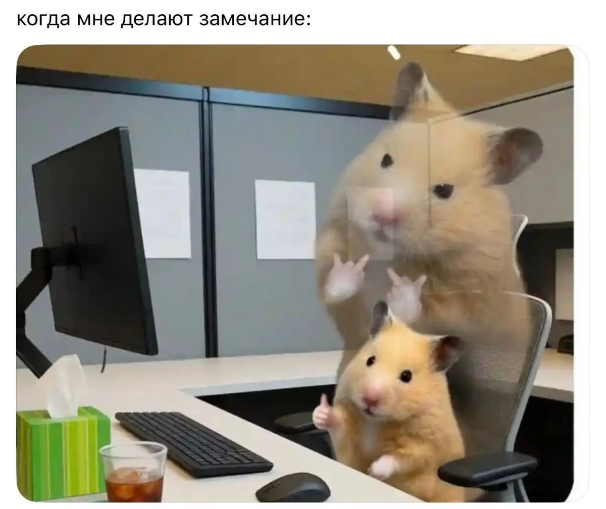 Зачем тебе архитектура, если ты вообще мимо проходил? | Сетка — социальная сеть от hh.ru