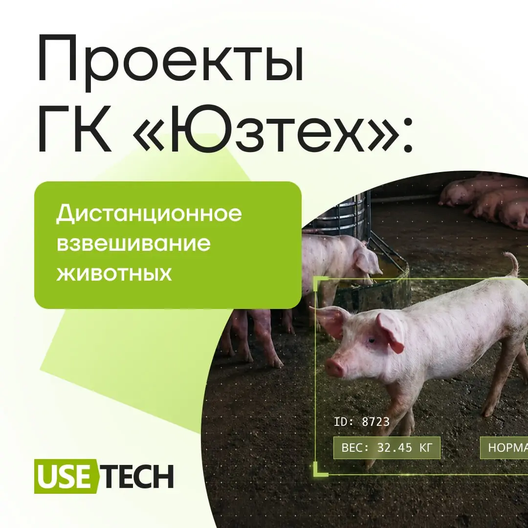 Продолжаем рассказывать о проектном портфеле ГК «Юзтех». 🐾
В карточках — описание проекта в агропромышленности: «Дистанционное взвешивание животных» | Сетка — социальная сеть от hh.ru