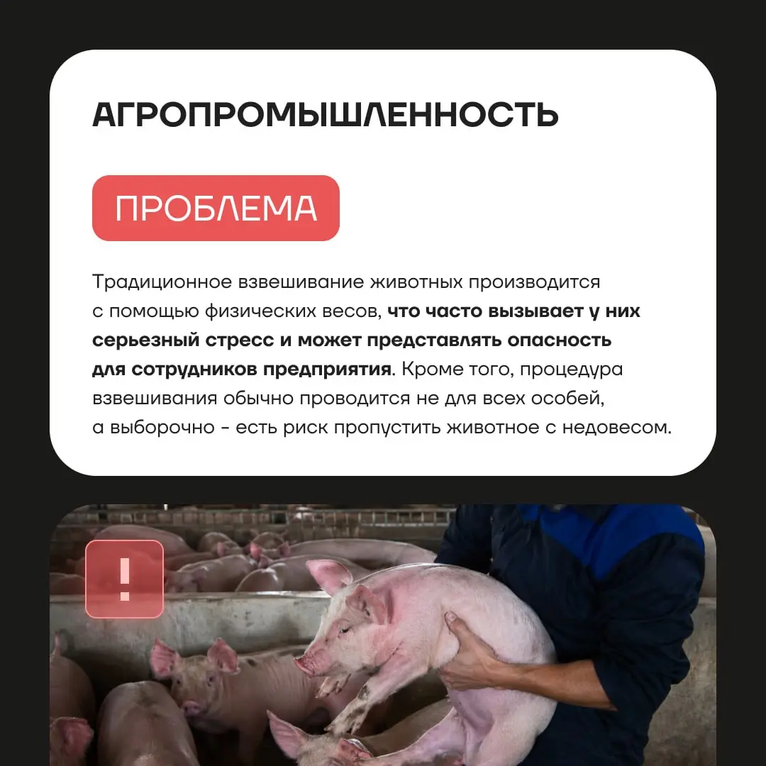 Продолжаем рассказывать о проектном портфеле ГК «Юзтех». 🐾
В карточках — описание проекта в агропромышленности: «Дистанционное взвешивание животных» | Сетка — социальная сеть от hh.ru
