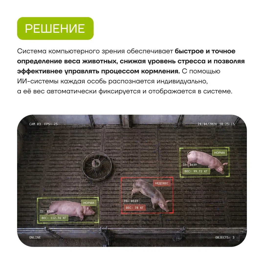 Продолжаем рассказывать о проектном портфеле ГК «Юзтех». 🐾
В карточках — описание проекта в агропромышленности: «Дистанционное взвешивание животных» | Сетка — социальная сеть от hh.ru
