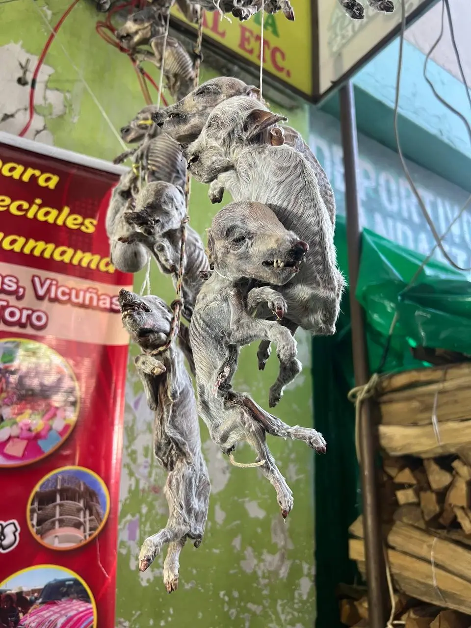 Кстати, в Боливии на рынке можно купить сушеную ламу. Или сушеный зародыш ламы
Местные индейцы-аймара собирают трупики лам и эммм… их выкидыши, сушат и продают | Сетка — социальная сеть от hh.ru