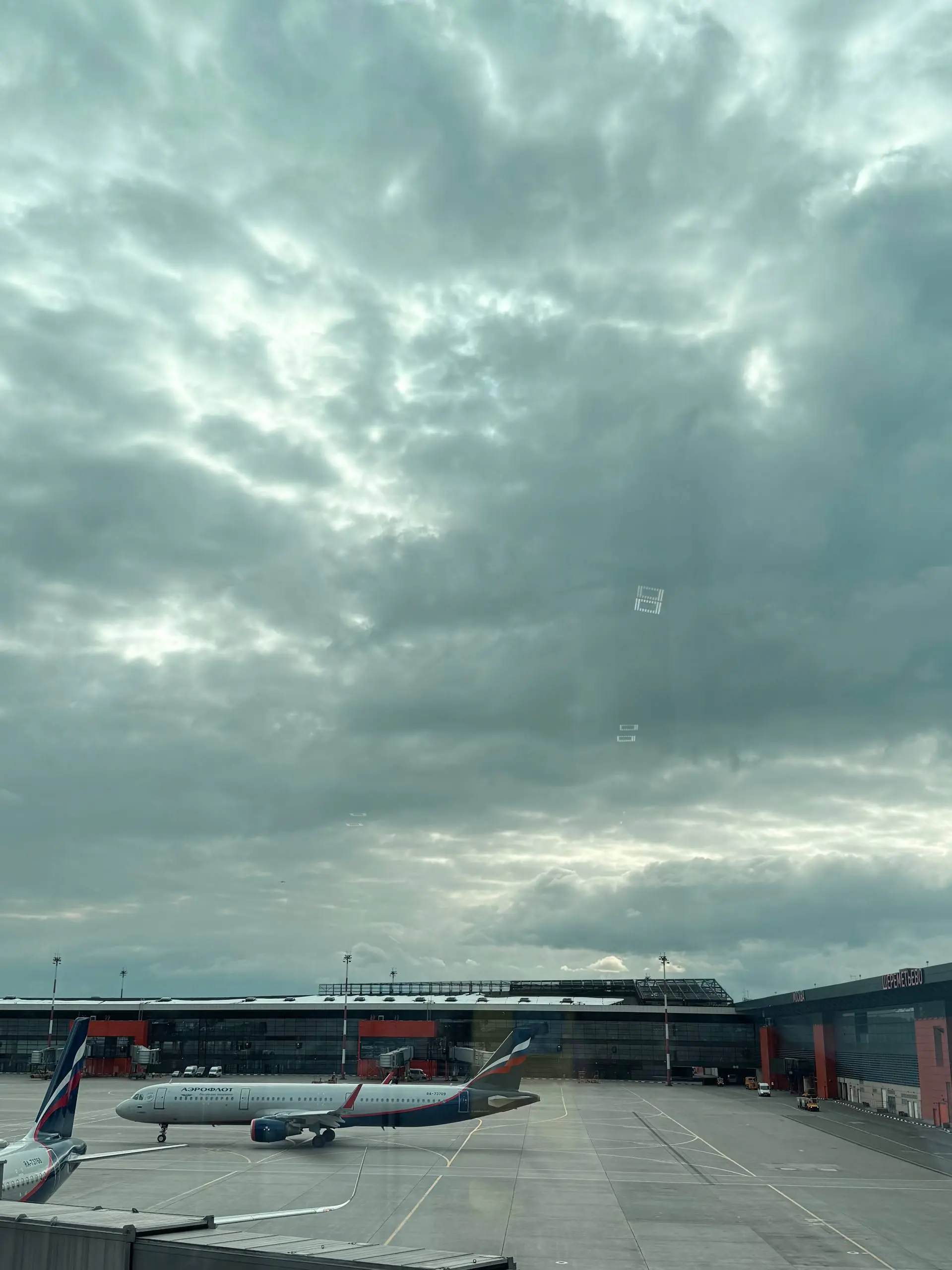 Планы на этот вечер: добраться до Калининграда 🛫 | Сетка — социальная сеть от hh.ru