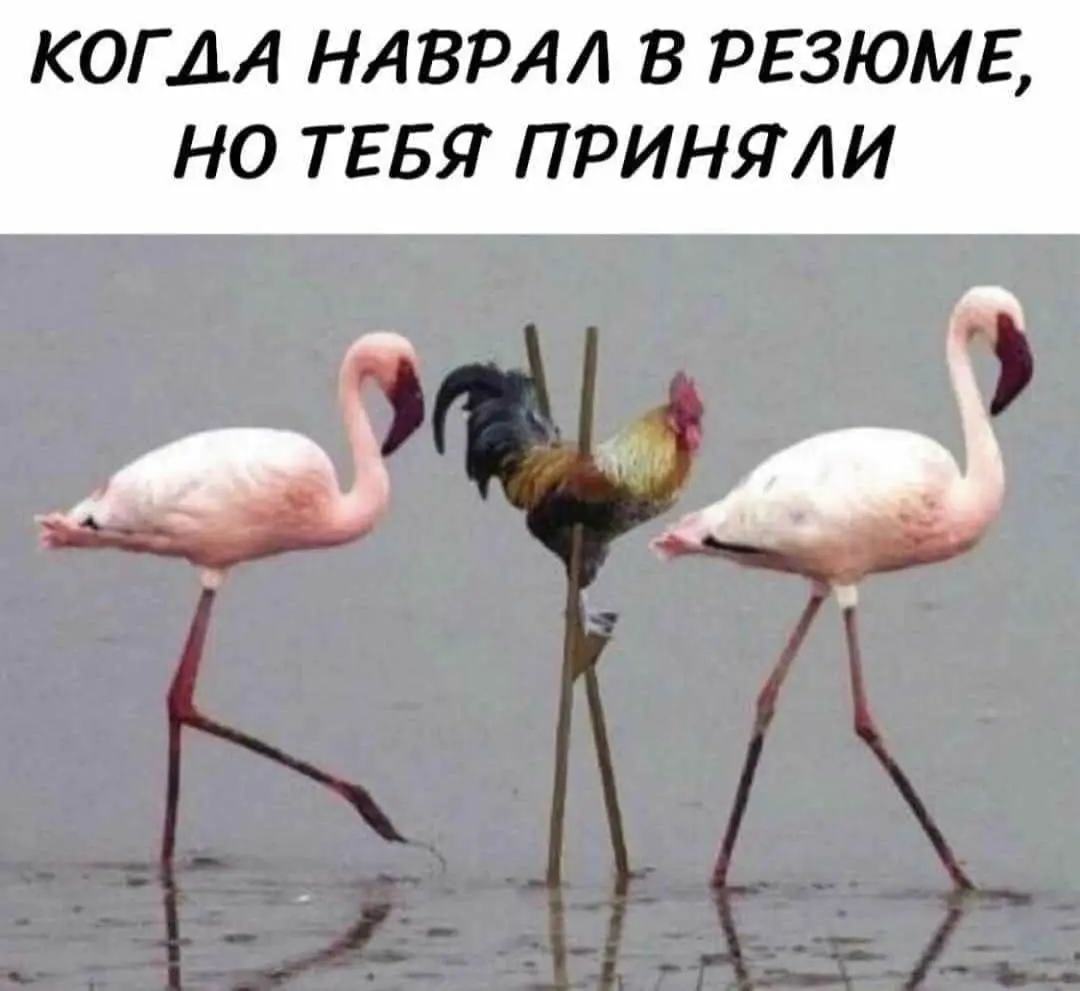 Впихнуть невпихуемое в резюме или «покороче»? | Сетка — социальная сеть от hh.ru