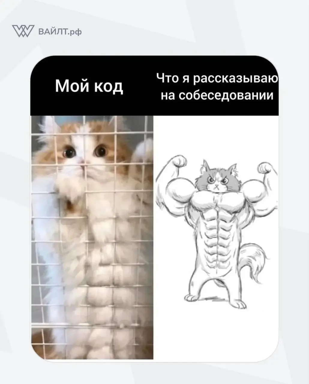 #Мем
@whiletru | Сетка — социальная сеть от hh.ru