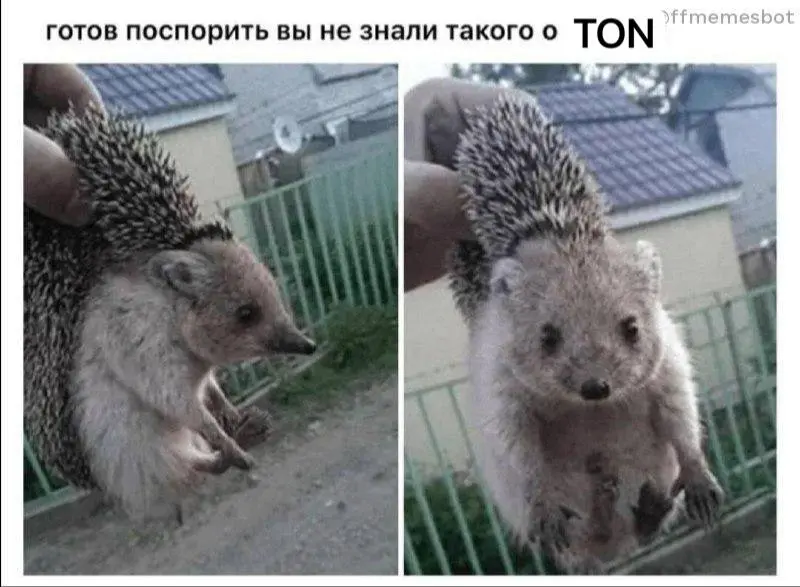 Я бустанулся агентами не когда стал чаще с ними общаться, а когда упаковал свои знания в скилы
Весь прошлый год я стругал SQL на Dune, потому что TON весьма уникальный: нужно знать, куда и как смотрет... | Сетка — социальная сеть от hh.ru