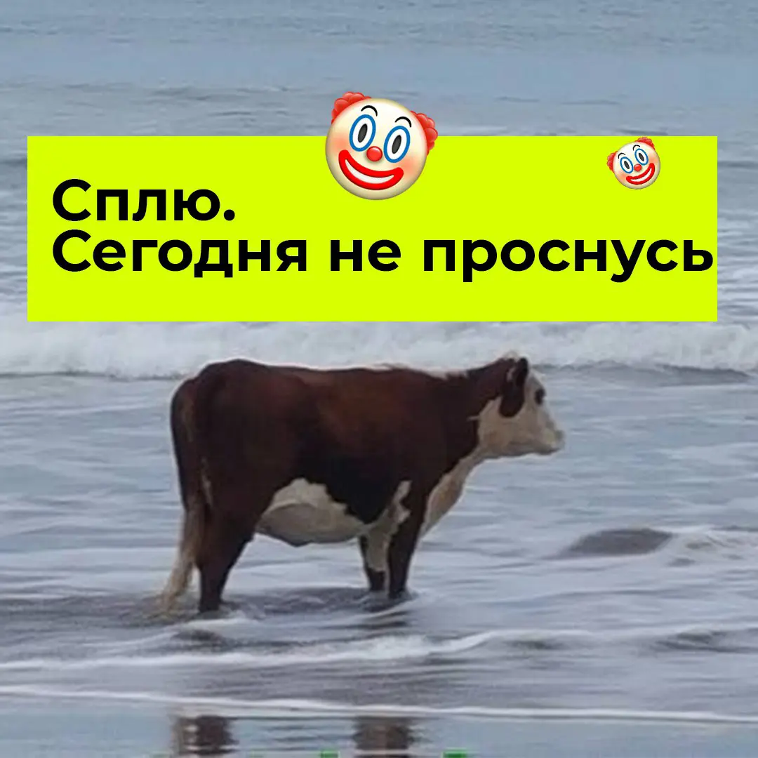 👋 Разбирайте рабочие аватарки | Сетка — социальная сеть от hh.ru