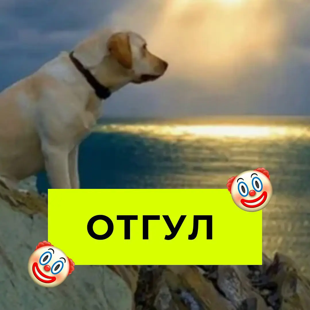 👋 Разбирайте рабочие аватарки | Сетка — социальная сеть от hh.ru