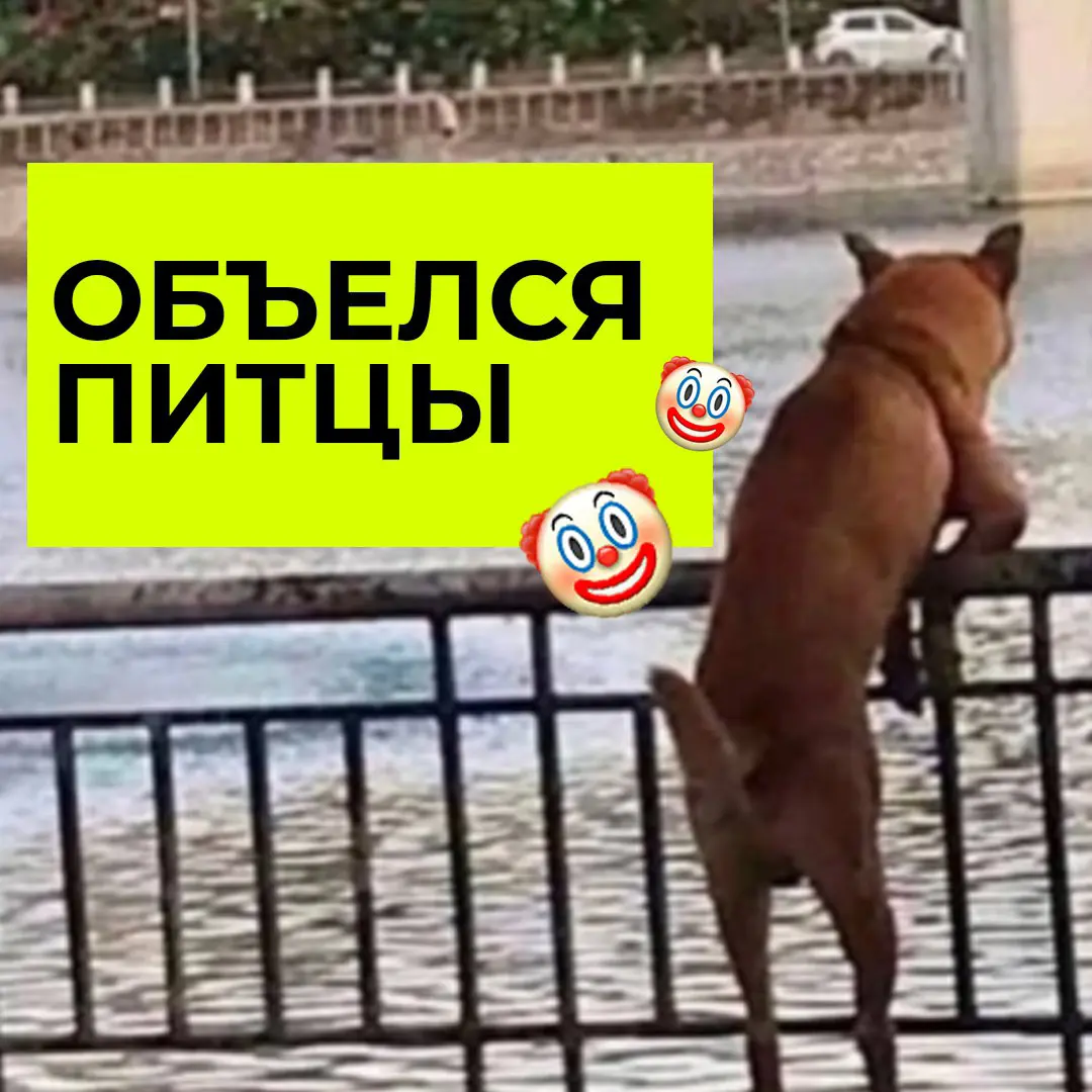 👋 Разбирайте рабочие аватарки | Сетка — социальная сеть от hh.ru