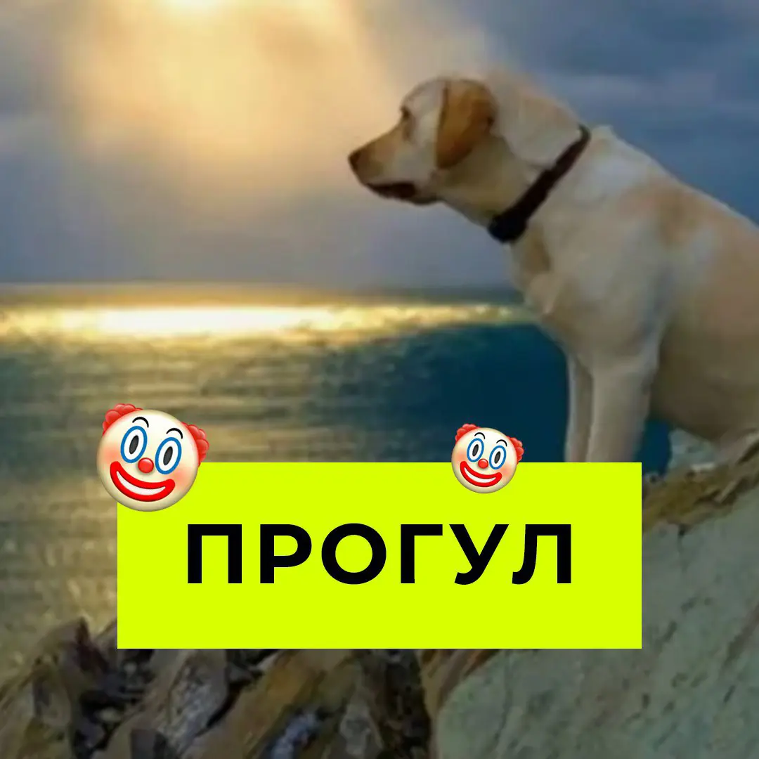 👋 Разбирайте рабочие аватарки | Сетка — социальная сеть от hh.ru