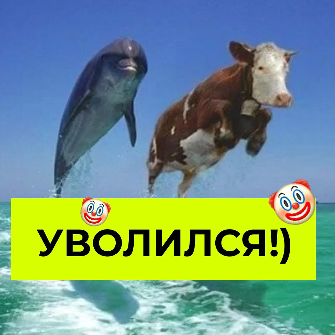 👋 Разбирайте рабочие аватарки | Сетка — социальная сеть от hh.ru