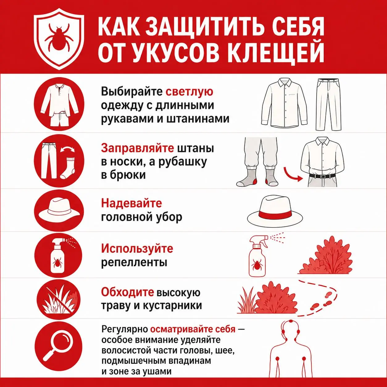 🪲 Напоминание: как избежать укуса клеща, если соберетесь на природу на праздниках | Сетка — социальная сеть от hh.ru