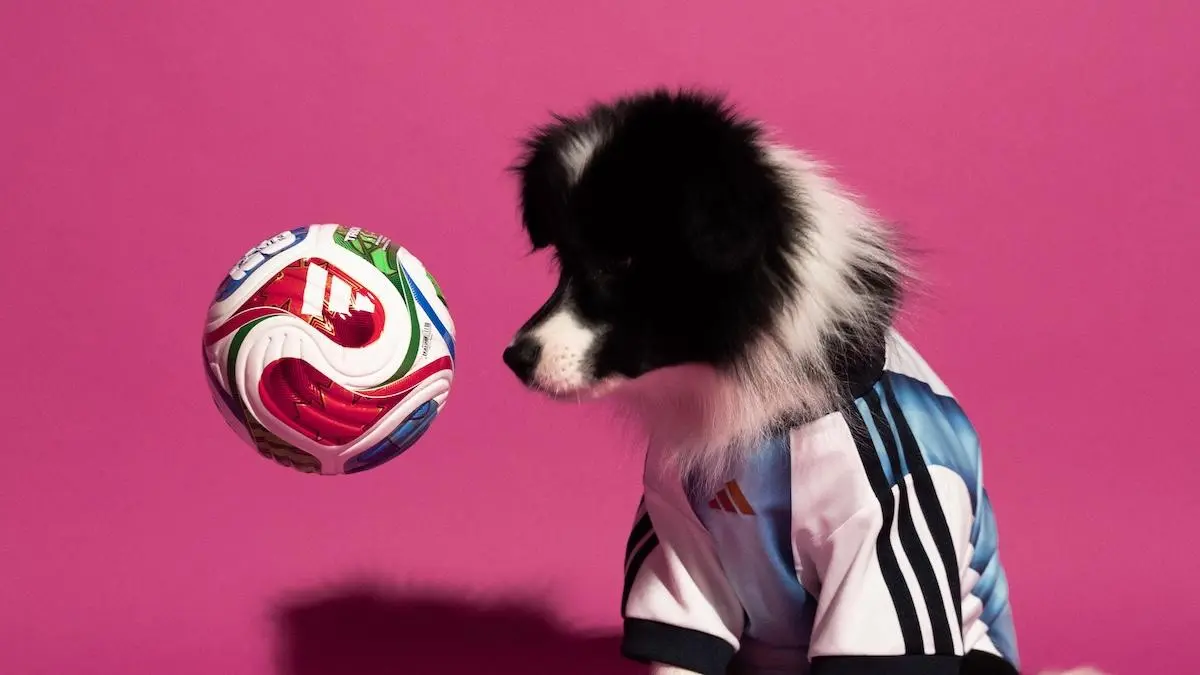 Круто, что adidas продолжают развивать свою линейку одежды для домашних животных. В прошлый раз они выпустили капсулу для кошек и собак adidas Originals в Китае | Сетка — социальная сеть от hh.ru