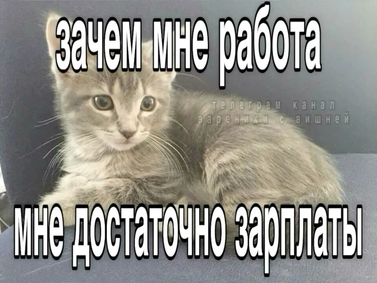 я фанат такой эстетики называется… | Сетка — социальная сеть от hh.ru