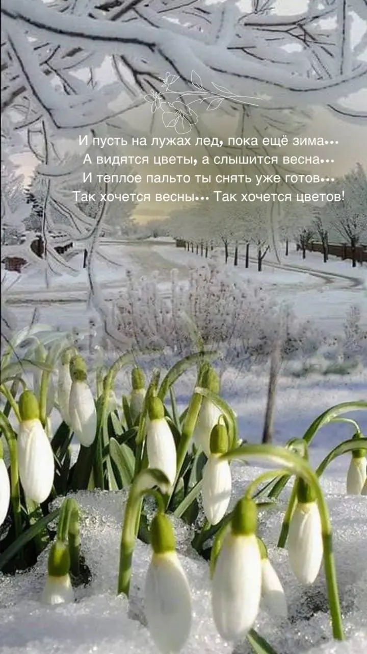 Независимо ни от чего, прекрасного вам дня! Доброе утро ⭐ | Сетка — социальная сеть от hh.ru