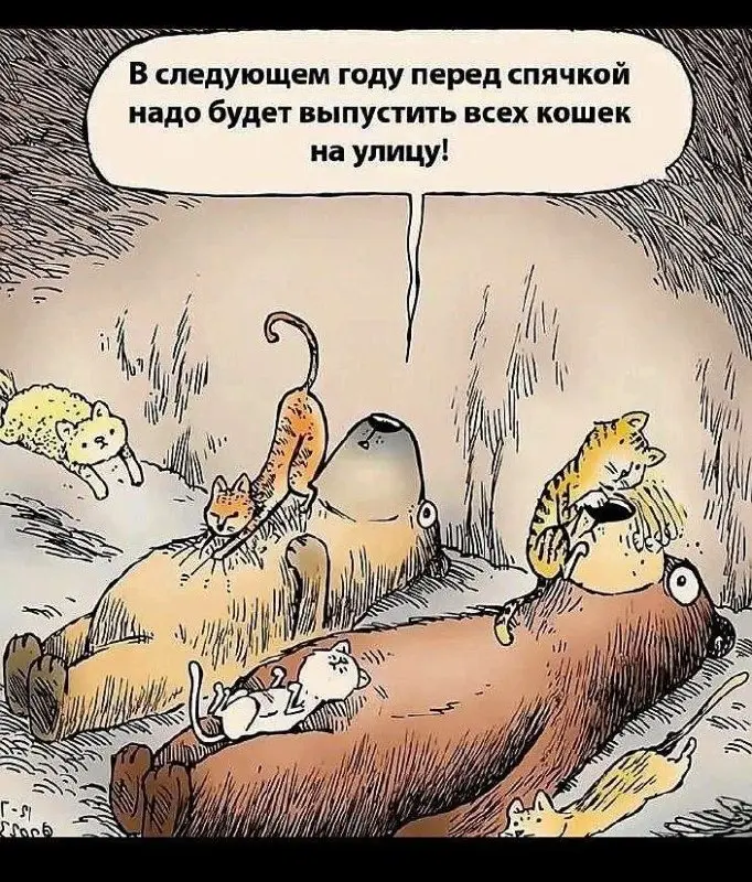 Это была фатальная ошибка 😂😂😂
#Юмор@poldner #Коты@poldner | Сетка — социальная сеть от hh.ru