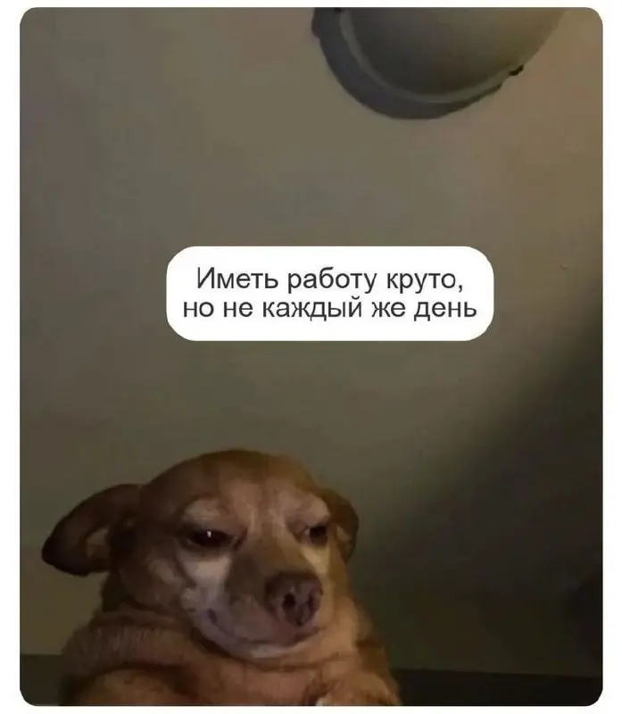 Поэтому сегодня выходной! | Сетка — социальная сеть от hh.ru