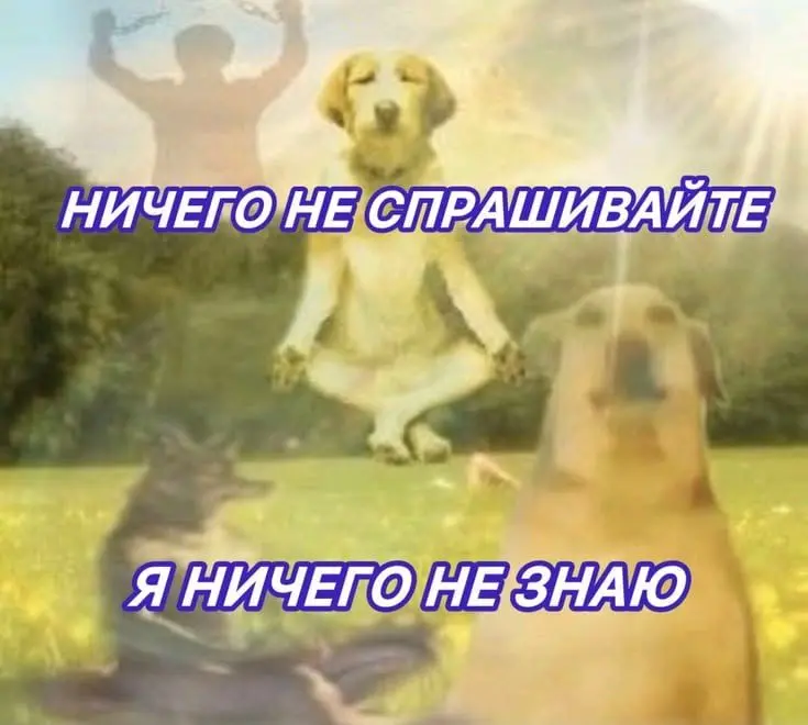 Нанять маркетолога - это боль | Сетка — социальная сеть от hh.ru