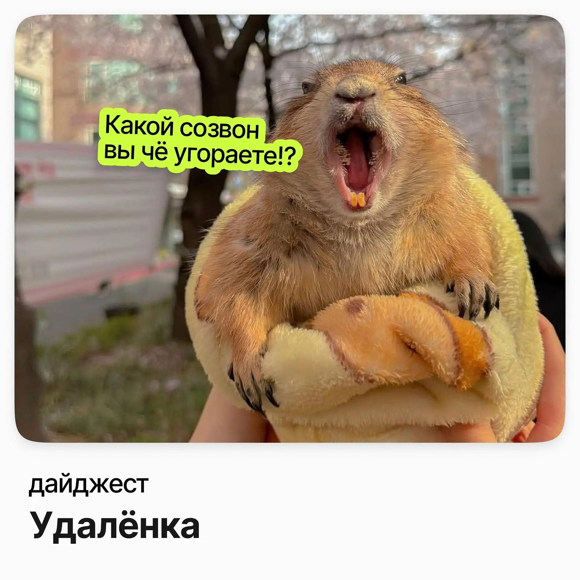 Удалённые вакансии | Сетка — социальная сеть от hh.ru